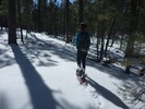 photo thumbnail #2