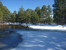 photo thumbnail #14