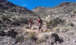 photo thumbnail #5