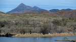 2013-02-18 :1: Patagonia Lake :: cindyl