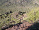 photo thumbnail #1