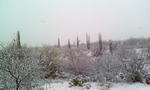 photo thumbnail #4