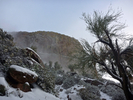 photo thumbnail #8