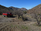 photo thumbnail #6