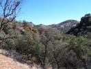 photo thumbnail #2