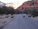 photo thumbnail #9