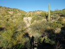 photo thumbnail #2