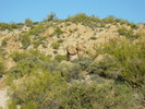photo thumbnail #3