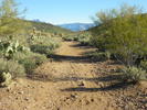 photo thumbnail #4