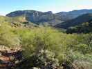 photo thumbnail #5