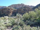 photo thumbnail #6