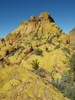 photo thumbnail #12