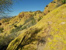 photo thumbnail #14