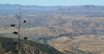 2013-02-16 :1: Red Mountain - Patagonias :: cindyl