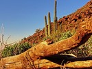 photo thumbnail #9