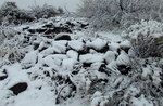 photo thumbnail #3
