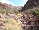 photo thumbnail #3