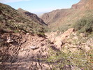 photo thumbnail #9