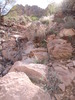 photo thumbnail #11