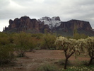 photo thumbnail #2