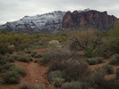 photo thumbnail #4