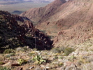 photo thumbnail #10