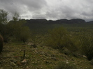 photo thumbnail #6