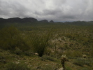 photo thumbnail #7