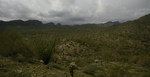 photo thumbnail #13