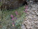 photo thumbnail #15