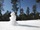 photo thumbnail #9