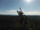 photo thumbnail #11