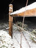 photo thumbnail #7
