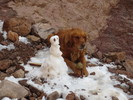 photo thumbnail #2
