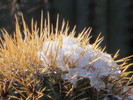 photo thumbnail #7