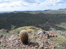 photo thumbnail #13