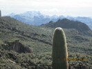 photo thumbnail #12