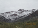 photo thumbnail #1