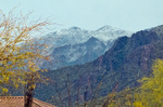 photo thumbnail #4