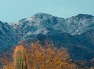 photo thumbnail #6