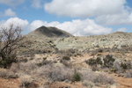 photo thumbnail #7