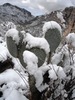 photo thumbnail #5