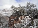 photo thumbnail #7
