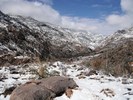 photo thumbnail #9