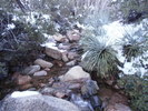 photo thumbnail #2