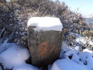 photo thumbnail #13