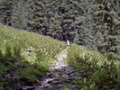 photo thumbnail #8