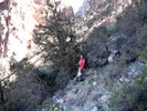 photo thumbnail #3
