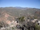 photo thumbnail #8