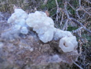photo thumbnail #10